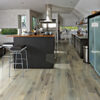 Alcott Maple