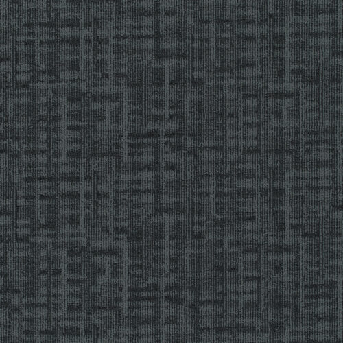 Search 6651B