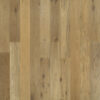 Sandal Oak