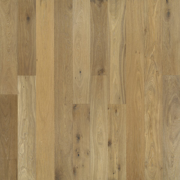 Sandal Oak