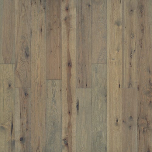 Sandbar Hickory
