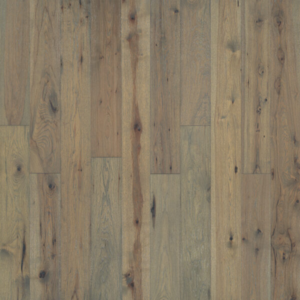 Ventura-Sandbar-Hickory- Sandbar Hickory