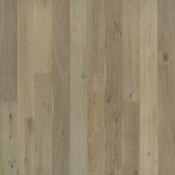 Ventura-White-Cap-Oak White Cap Oak