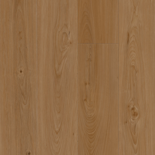 Europeon Almond Oak European Almond Oak