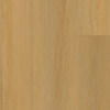 Golden-Dahlia Plumed Maple