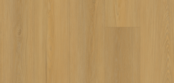 Golden-Dahlia Plumed Maple