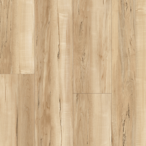 Maple Ambrosia Spalted Maple Ambrosia
