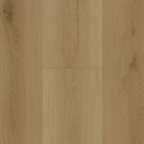 Plumed Maple Plumed Maple