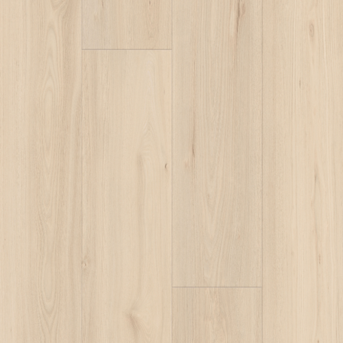Tasmanian White Oak Tasmania White Oak