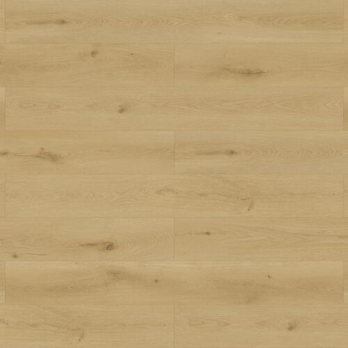 Cadiz Royale MCST-2303 Cadiz Royale